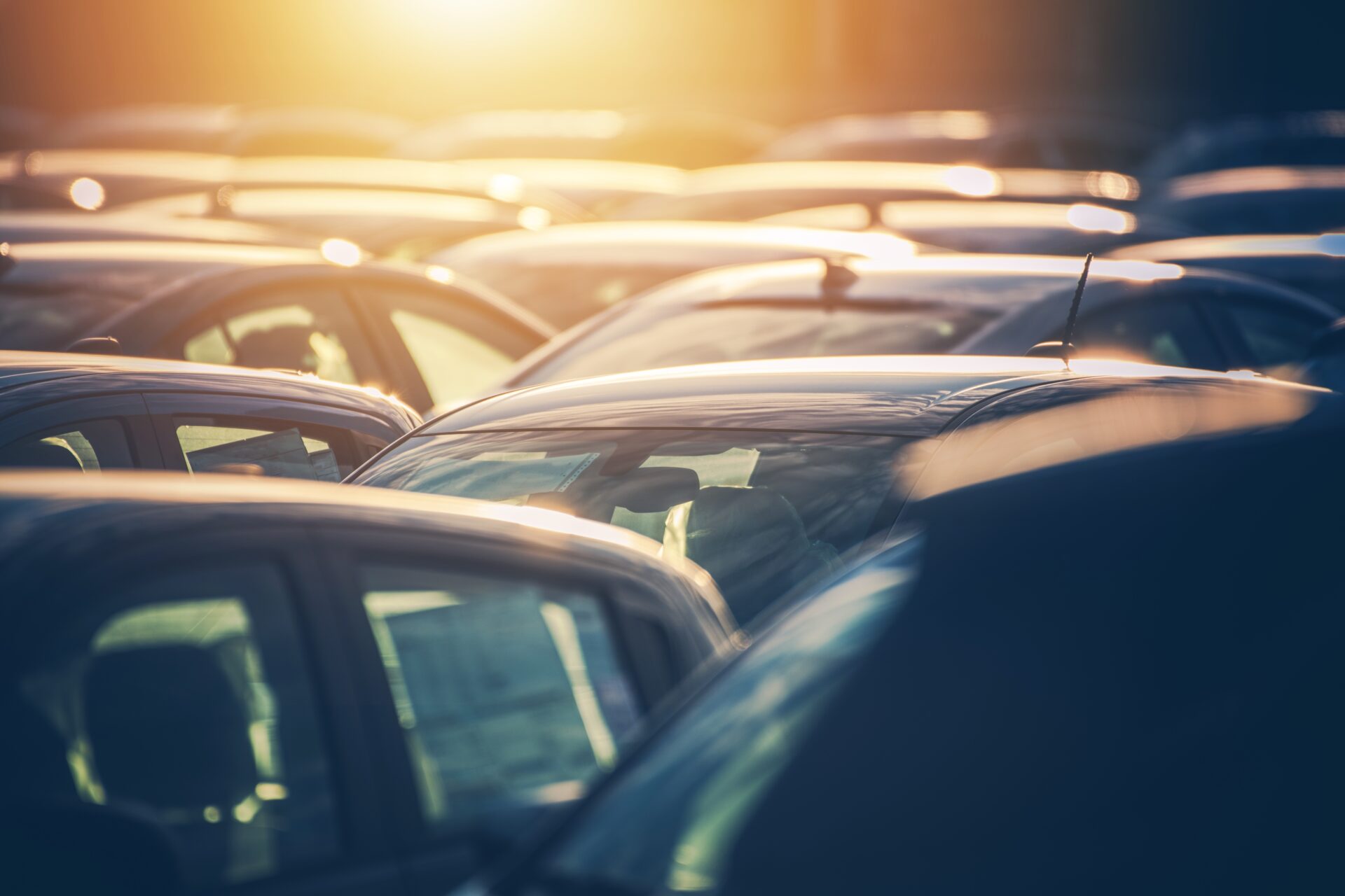 Sell my car to add to the range of sold used cars